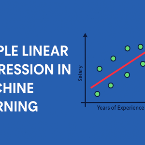 Machine Learning: Building a Linear Regression Model